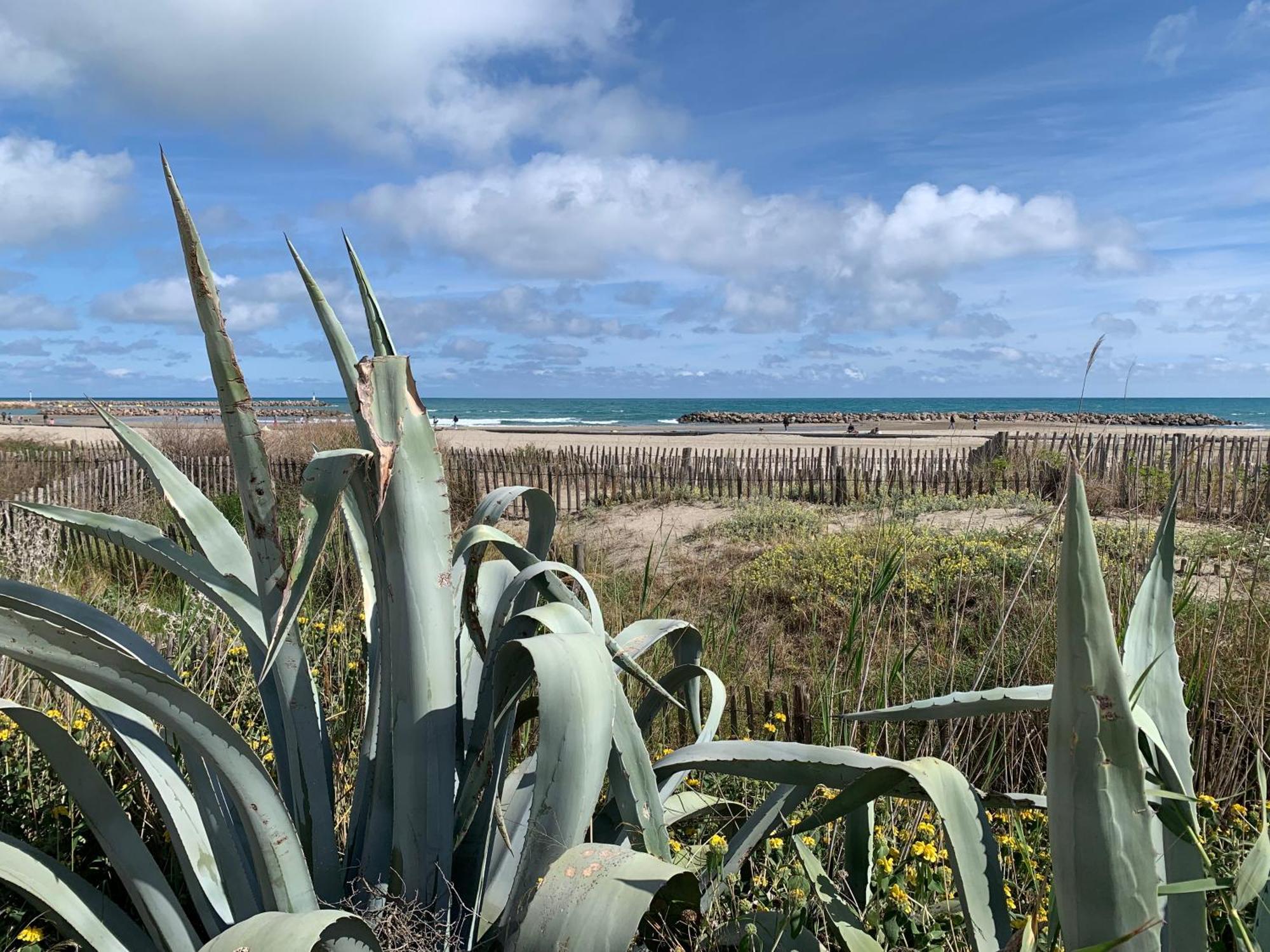 Sete - Vue Mer Imprenable, Piscine, Calme Exterior foto